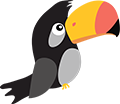 Toucan